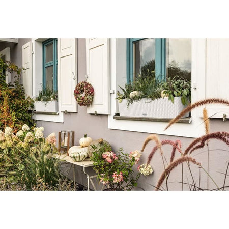 Jardiniere - Cottage Balconera 80 - Kit completo - Bianco - 12 L - LECHUZA