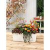 LECHUZA Jardiniere Balconera Colore 50 ALL-IN-ONE Bianco 15670