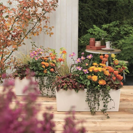 LECHUZA Jardiniere Balconera Colore 50 ALL-IN-ONE Bianco 15670