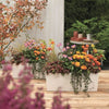 LECHUZA Jardiniere Balconera Colore 50 ALL-IN-ONE Bianco 15670