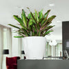 Jardiniere - Classico premium LS 28 - Kit completo - Bianco lucido - 7 L - LECHUZA