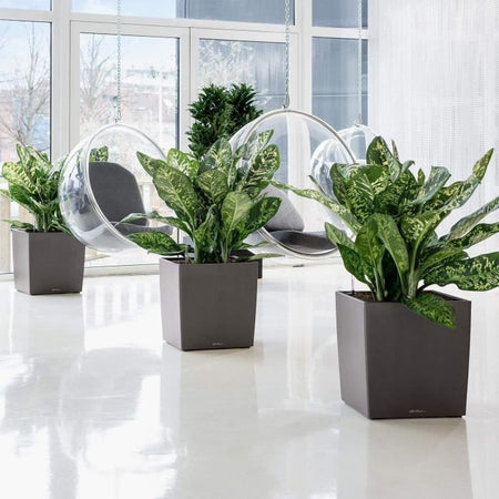 Vaso da fiori LECHUZA Cube Premium 50 - set completo, tortora lucido