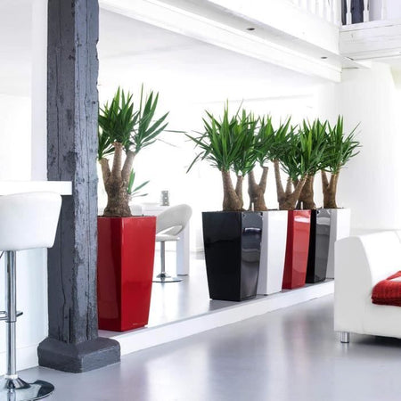 Vaso da fiori - LEC - Cubico Premium 40 - Rosso - Con riserva d'acqua - Kit completo