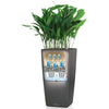 LECHUZA Jardiniere Cubico Alto 40 ALL-IN-ONE Carbone 18233 421494