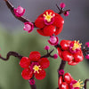 LEGO Icons 10369 Plum Blossoms - Decorazione floreale per interni, set per adulti