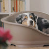 Lettino aperto per cani e gatti con bordo ergonomico Sleeper
