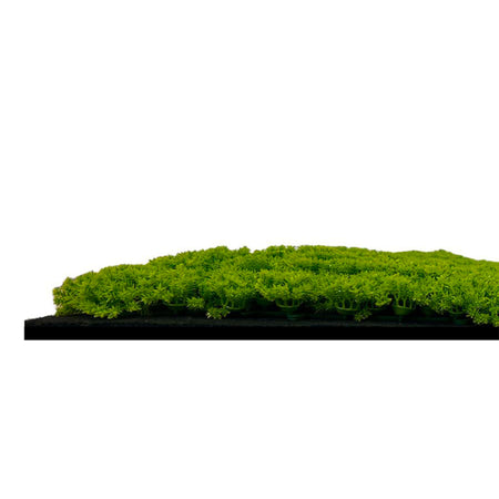 JANGAL Pannelli acustici Modulabili in FLORA sintetica ULTRAREALISTICA 52x52cm mod. LIME GREEN - Eternal Parquet