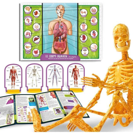 Scoperta del corpo umano - Kit scientifico - SONO UN GENIO TASCABILE - Modello 3D
