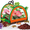 Scoperta botanica - Kit scientifico - SONO UN GENIO TASCABILE - Serra in miniatura, esperimenti botanici