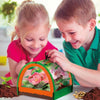 Scoperta botanica - Kit scientifico - SONO UN GENIO TASCABILE - Serra in miniatura, esperimenti botanici