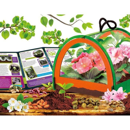 Scoperta botanica - Kit scientifico - SONO UN GENIO TASCABILE - Serra in miniatura, esperimenti botanici