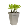 quadrati Bac 30cm piante alte
