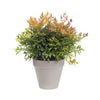Vaso di fiori 20cm LU Grigio Caldo