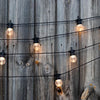 LUMIJARDIN Ghirlanda solare 10 lampadine a LED - Bianco caldo - Partito chiaro solare