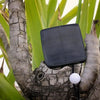 LUMI GARDEN Corda solare per palline Billy Solar - Luce bianca - 60 palline - 700 cm