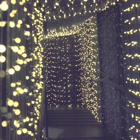 LUMI GARDEN Corda solare per palline Billy Solar - Luce bianca - 60 palline - 700 cm