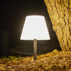 Lampada da tavolo solare 2 in 1 per piantare o posizionare - LUMISKY - BOUFFANT - H62 cm - LED bianco dimmerabile