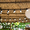 Guirnalda de luz solar - LUMISKY - PARTY MILKY SOLAR - 5,70 m - 8 modos - 10 globos LED blanco cálido