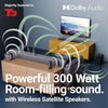 MAGGIORANZA DEL SISTEMA AUDIO DOLBY SURROUND EVEREST