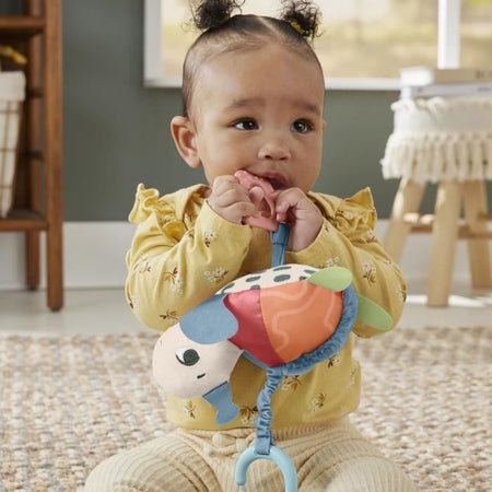 Fisher-Price - Honu, la mia tartaruga sospesa - Giocattolo con dettagli sensoriali