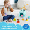 Fisher-Price-Sorter Trasporto Animali Crate-Sorter 8 blocchi HTW93