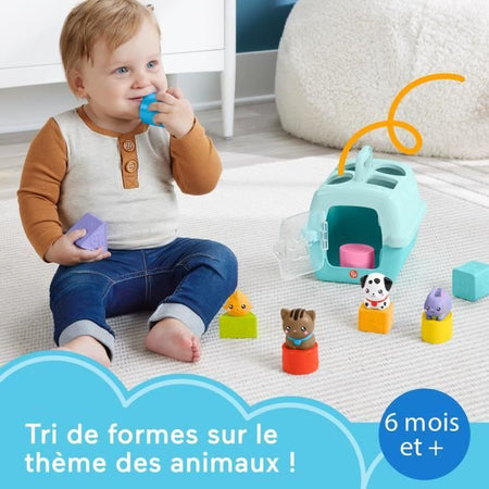 Fisher-Price-Sorter Trasporto Animali Crate-Sorter 8 blocchi HTW93