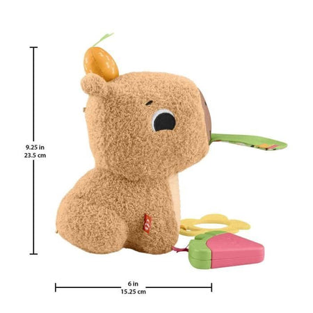 IL MIO CAPYBARA ABBRACCIA