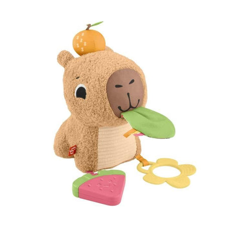 IL MIO CAPYBARA ABBRACCIA
