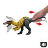 CERATOSUCHOPS SUONO