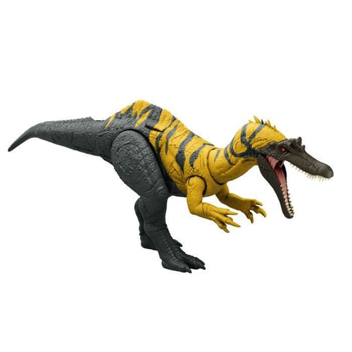 CERATOSUCHOPS SUONO