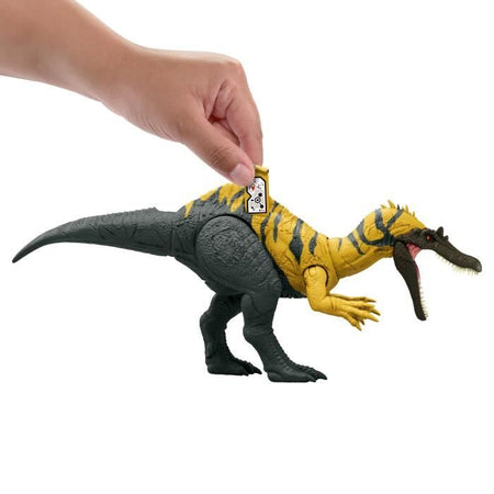 CERATOSUCHOPS SUONO
