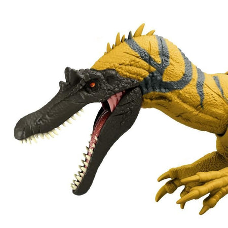 CERATOSUCHOPS SUONO