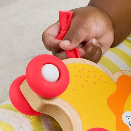 FISHER-PRICE Ossa di animali da spingere in legno - JFN19