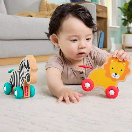 FISHER-PRICE Ossa di animali da spingere in legno - JFN19