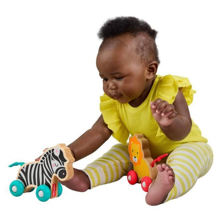 FISHER-PRICE Ossa di animali da spingere in legno - JFN19