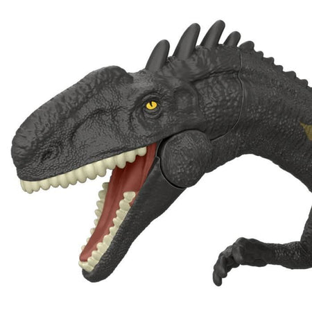SAGA ASST DINO INFORTUNIO ESTREMA