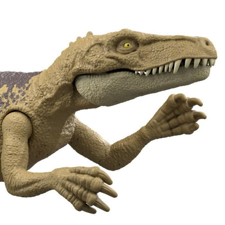 SAGA ASST DINO INFORTUNIO ESTREMA