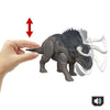SAGA SONORA DI NASUTOCERATOPS