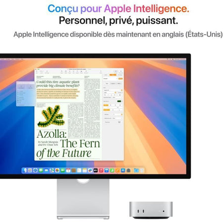 Apple - Mac mini (2024) Chip Apple M4 - 24 GB di RAM - 512 GB di spazio di archiviazione SSD - CPU a 10 core GPU a 10 core - Argento