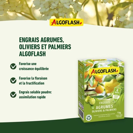Fertilizzanti agrumi, olivers e palme - algoflash naturasol - 1 kg