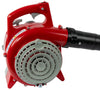 Soffiatore aspiratore AG4-BLV