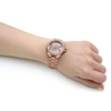 Michael Kors MK7230 Orologio Da Donna Michael Kors