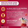 Pipette antiparassitarie ADVANTIX 6 - Per cani di media taglia da 10 a 25 kg