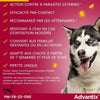 Pipette antiparassitarie ADVANTIX 6 - Per cani di media taglia da 10 a 25 kg