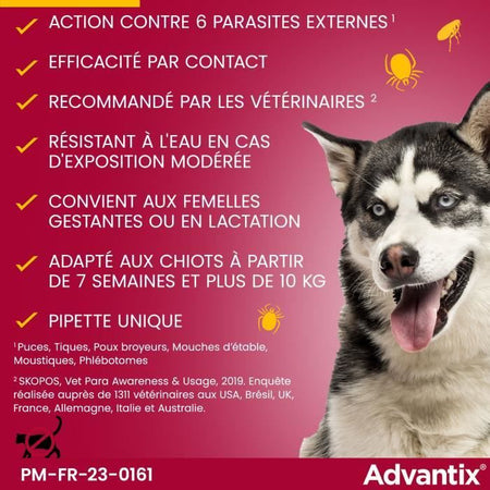 Pipette antiparassitarie ADVANTIX 6 - Per cani di media taglia da 10 a 25 kg