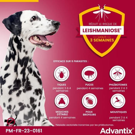 Pipette antiparassitarie ADVANTIX 6 - Per cani di media taglia da 10 a 25 kg