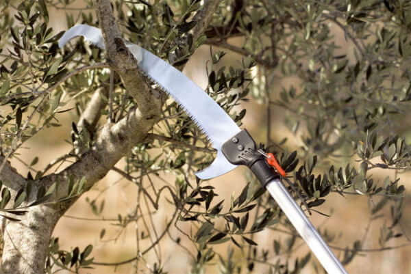Seghetto Falco 43 Combisystem per Potatura Rami Alti Stocker