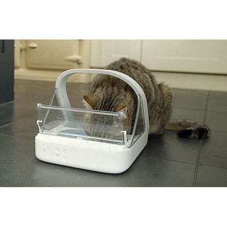 Alimentatore