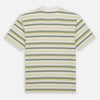 Maglietta T-shirt Dickies Glad Spring white stripe