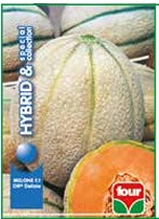 Melone F.1 Or Delizia